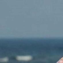 Picture of Hoda Abdel Moneim