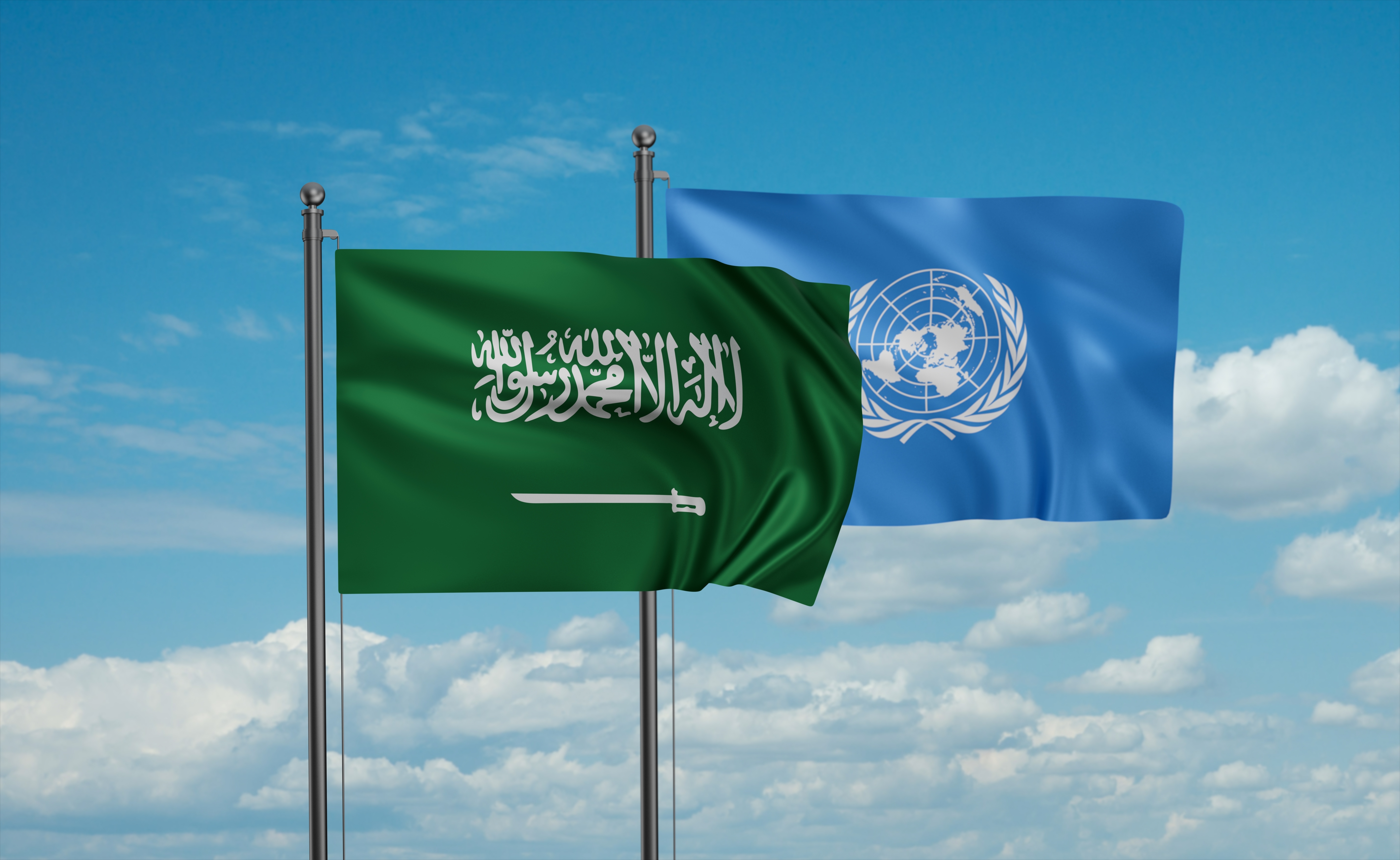 Saudi UN