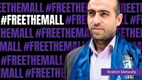 An image of Ibrahim Metwally next to the hashtag #FreeThemAll with a black background