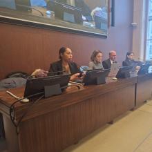 Panel discussion Lebanon