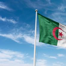 Algerian flag