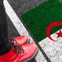Analyse Algérie déchéance de nationalité
